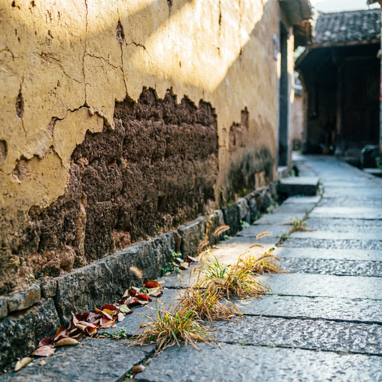 17890244123581.png 图片4.png