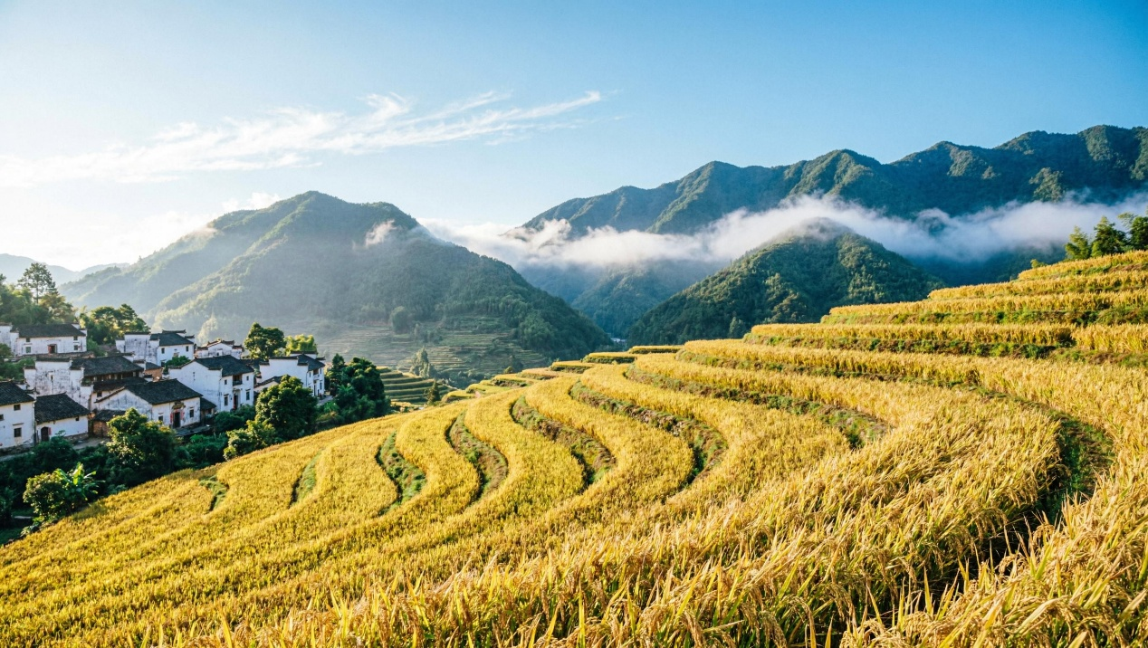 17890244382019.png 图片5.png